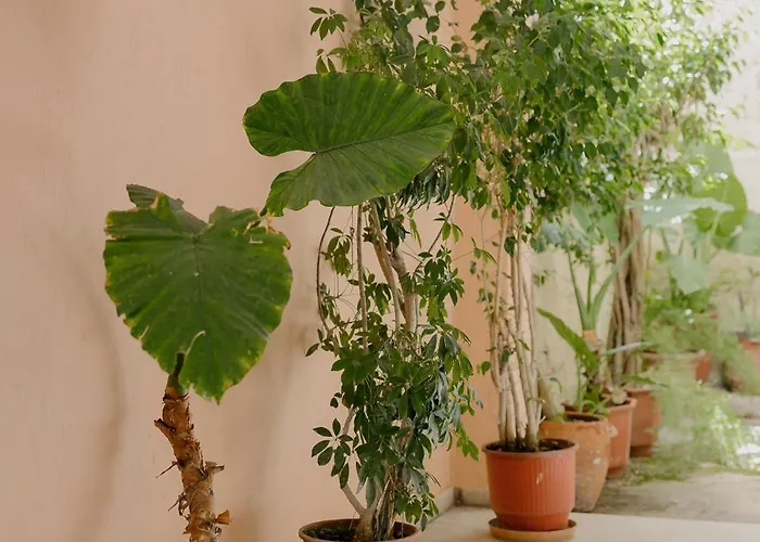 Catherine's View Corfu (city)