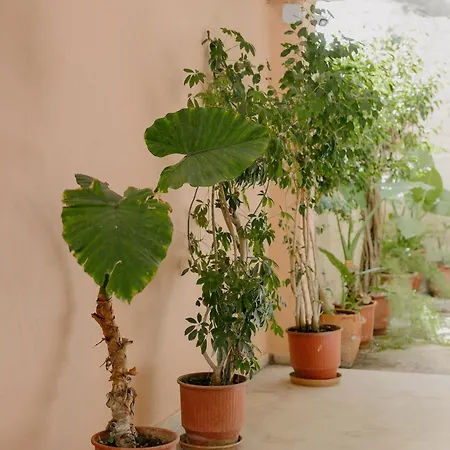 Catherine's View Corfu (city)